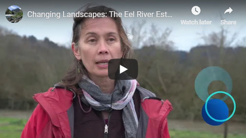 Changing Landscapes: The Eel River Estuary