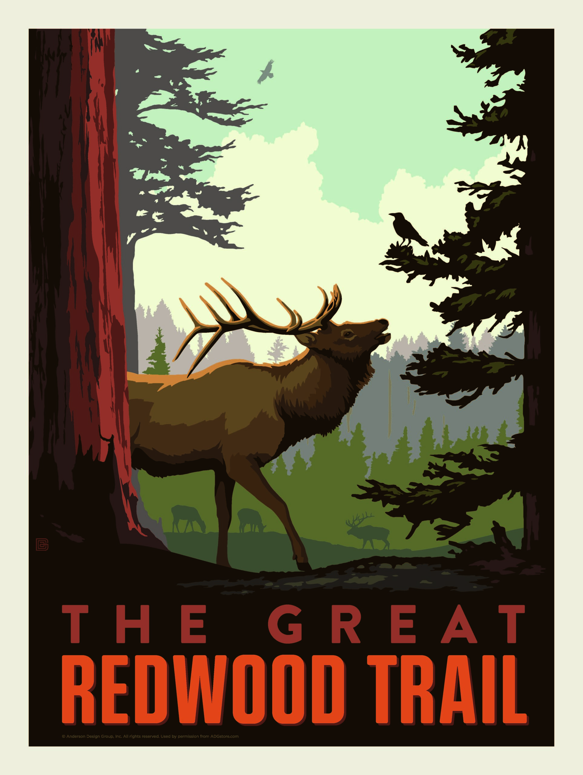 Great Redwood Trail