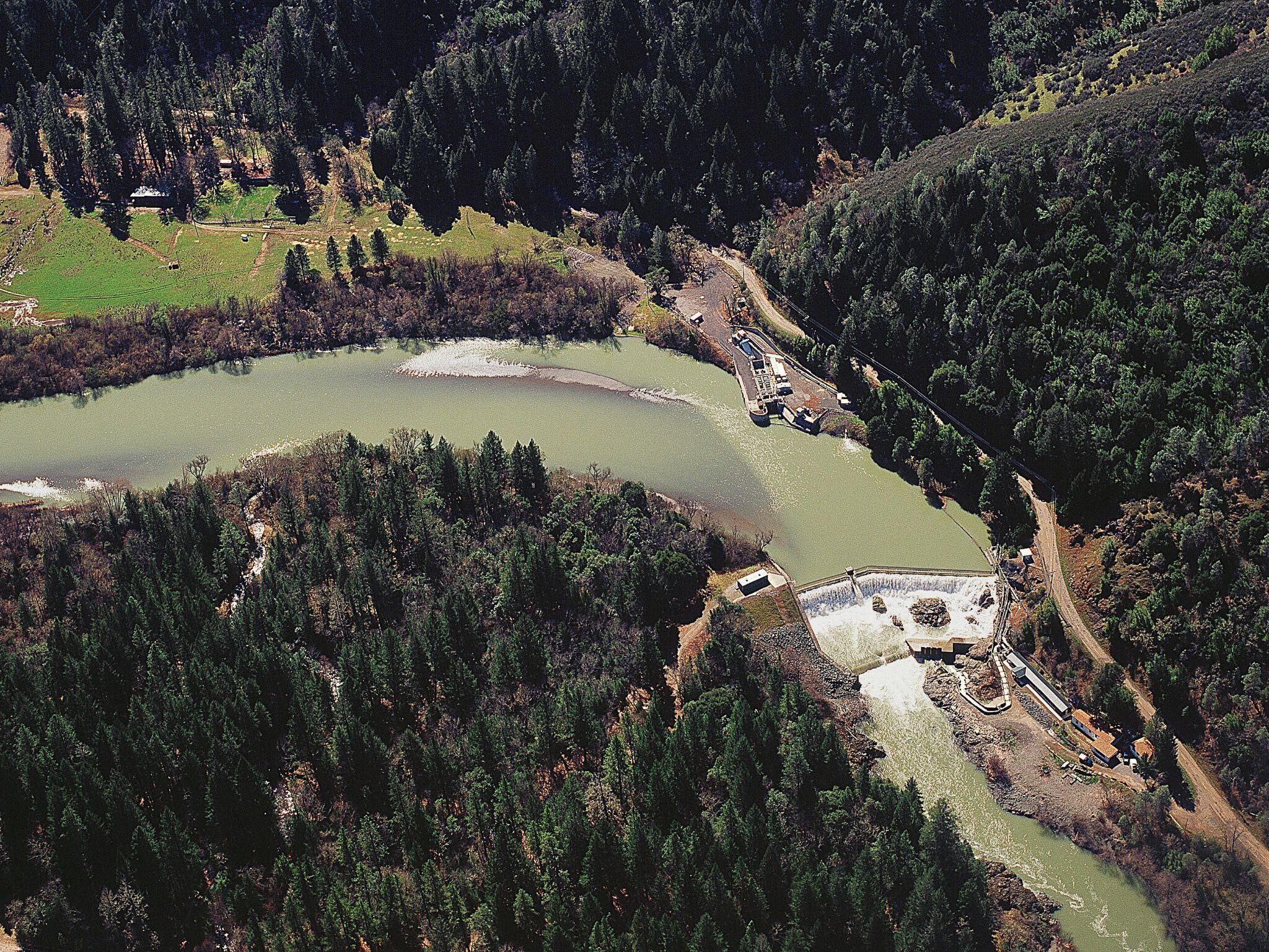 Sifting Through the Studies: Eel River Dams and Fish Passage