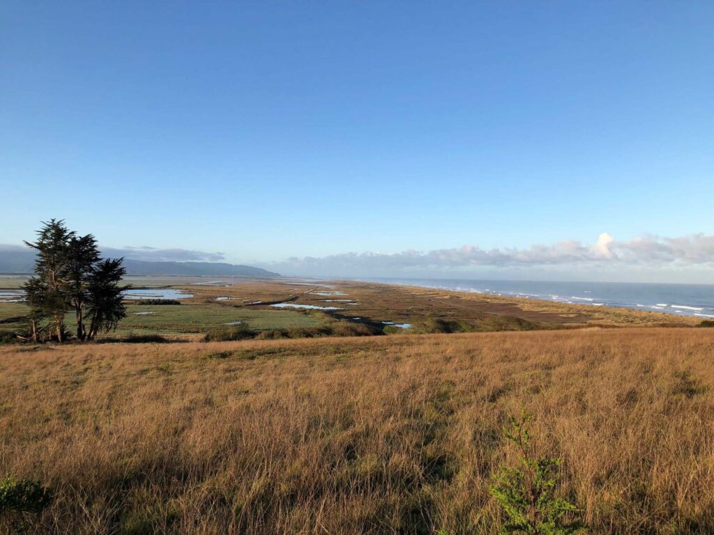 A view of the coastal hills overlooking the Eel River Estuary. The channel snakes through the boggy coastal grasslands in the foreground and waves crash along the shore in the background, illustrating the spectrum of habitat in this brackish area of transition.