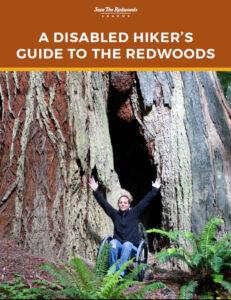 Click here for A Disabled Hiker's Guide to the Redwoods