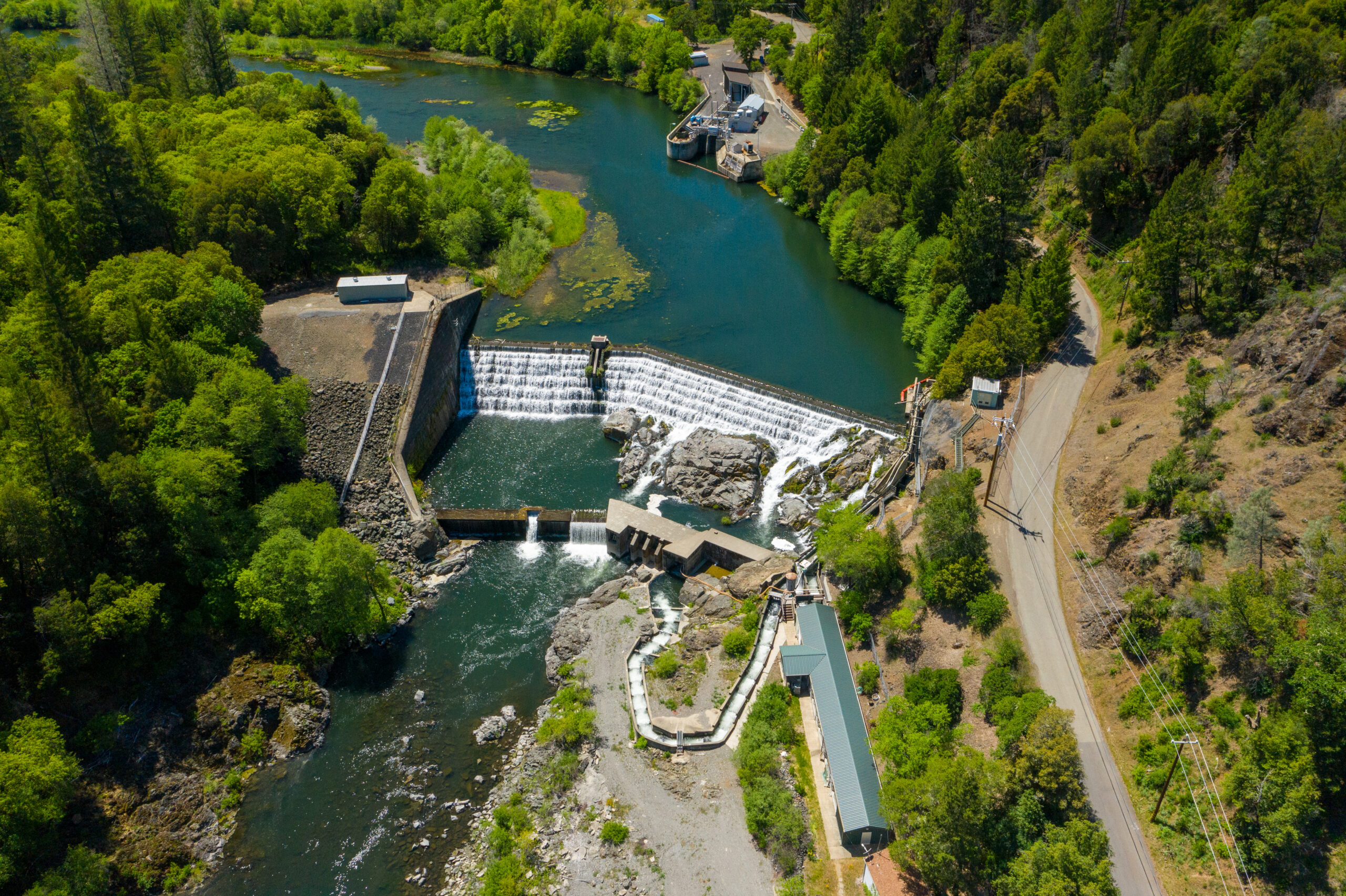 Fishing and Conservation Groups Sue PG&E over Harms to Salmon and Steelhead on Eel River