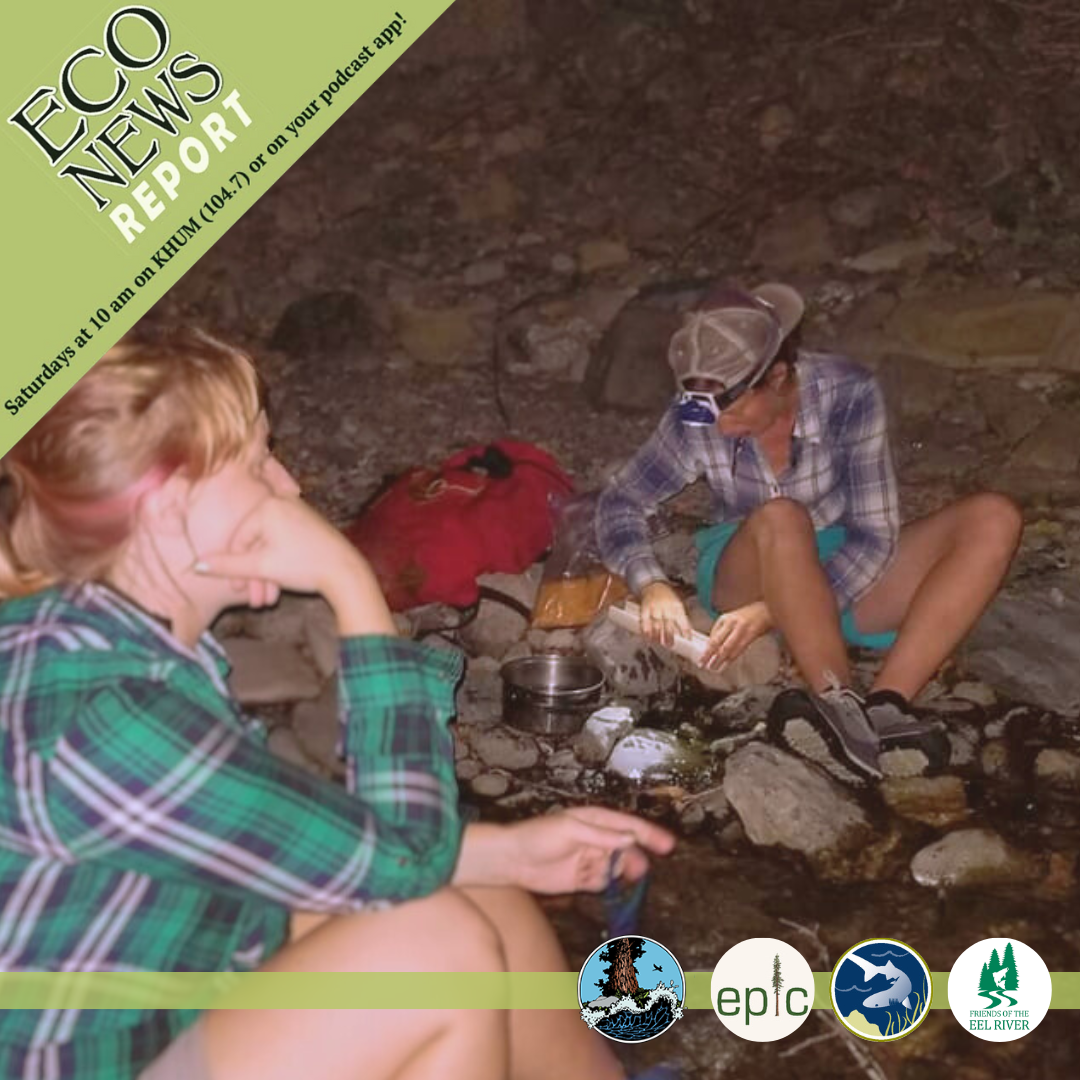 Two scientists sampling fish at night. The Eco News Report airs Saturdays at 10 A.M. on K. HUM 104.7 or on your podcast app. Brought to you by the North coast Environmental Center, the Environmental Protection Information Center, Humboldt Waterkeeper, and Friends of the Eel River.
