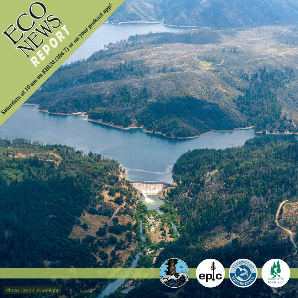 The Eco News Report airs live on Saturdays on K. HUM (104.7) at 10 A.M. or on your podcast app, and is brought to you by the North coast Environmental Center, the Environmental Protection Information Center, Humboldt Waterkeeper, and Friends of the Eel River. Overhead view of Scott dam taken by Eco Flight.