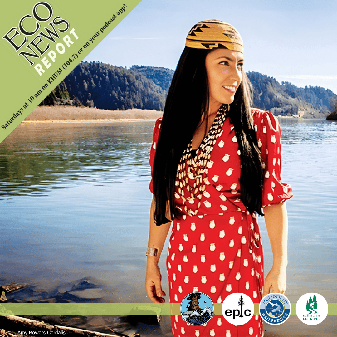 The Water Remembers, With Amy Bowers Cordalis — EcoNews Report #296