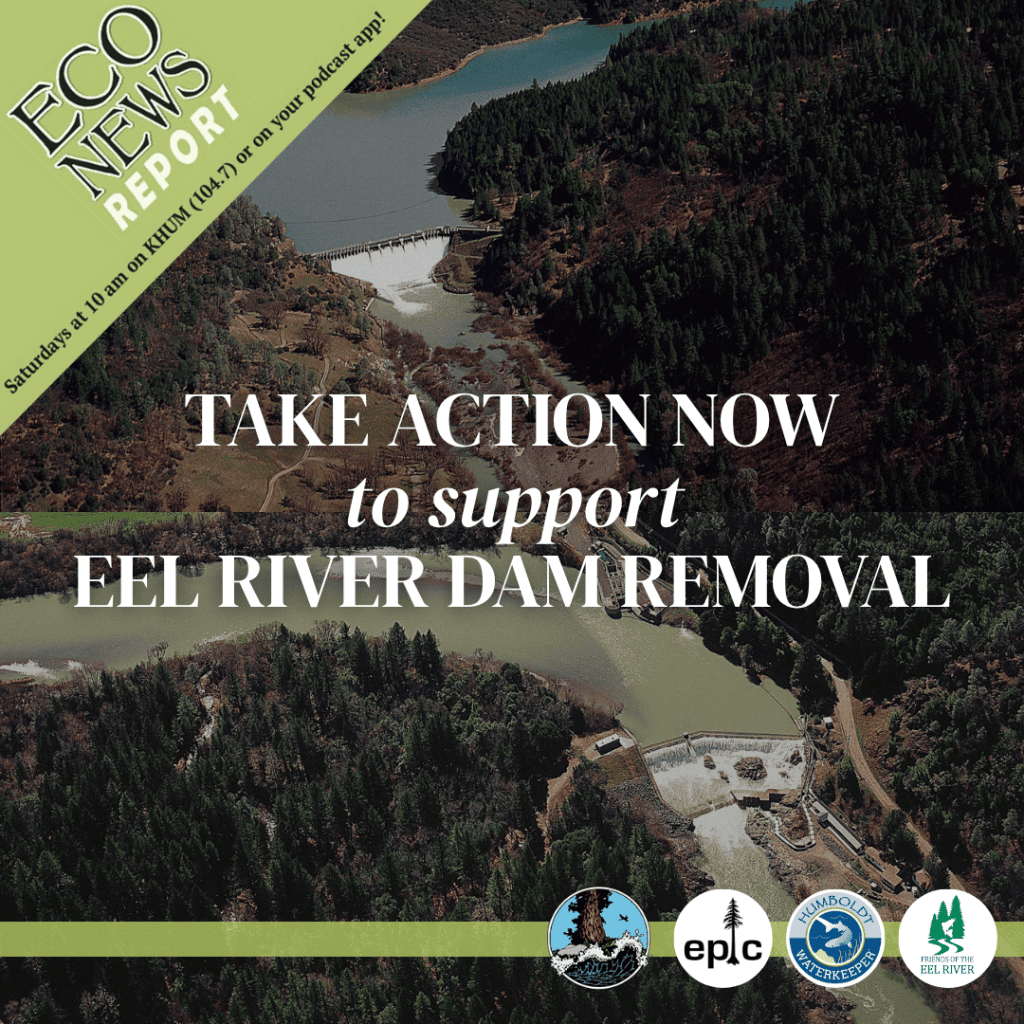 The Eco News Report airs live on Saturdays on K. HUM (104.7) or on your podcast app, and is brought to you by the North coast Environmental Center, the Environmental Protection Information Center, Humboldt Waterkeeper, and Friends of the Eel River. This episode encourages you to take action now to support Eel River dam removal.