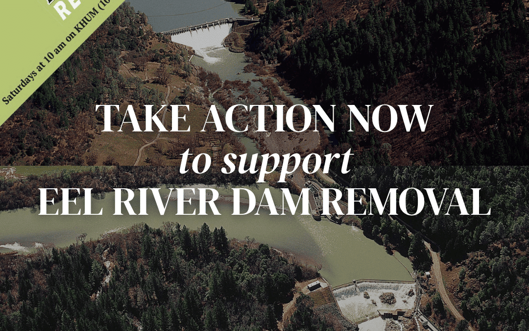 Take Action Now to Support Eel River Dam Removal — EcoNews Report #297