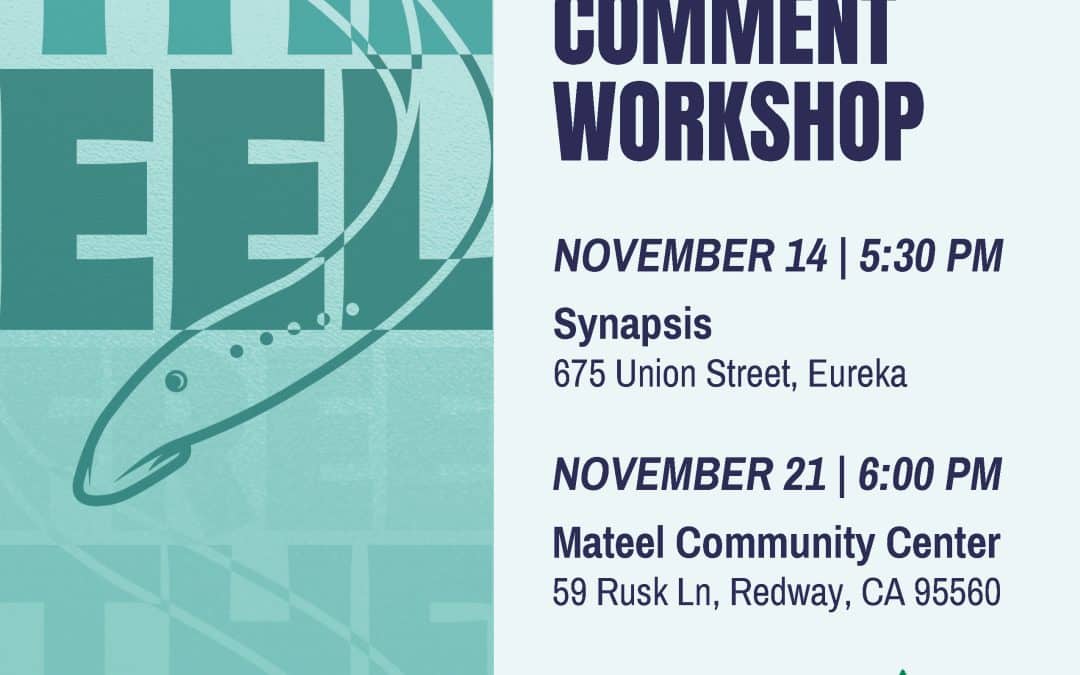 Attend a Virtual or In-Person Comment Writing Workshop!