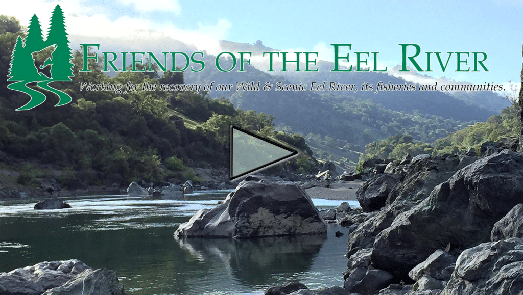 Screenshot 2025-11-05 150045 Click here to launch YouTube video