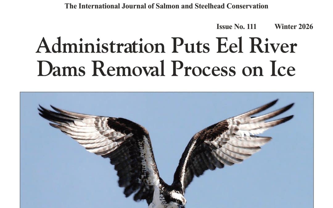 Eel River Dam Removal Becomes MAGA Target