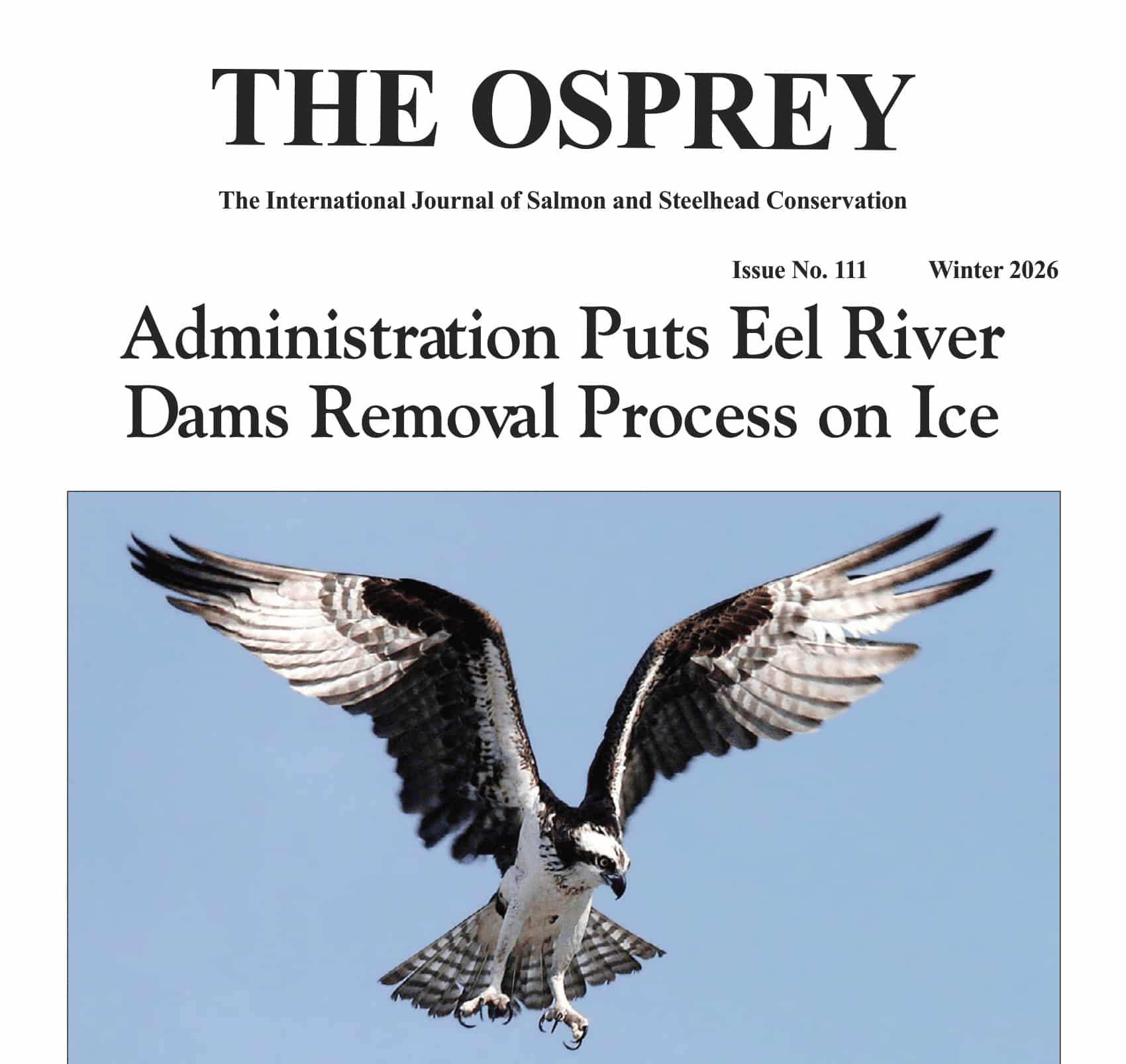 The cover of The Winter 2026 issue of The Osprey's headline: Administration Puts Eel River Dams Removal Process on Ice.