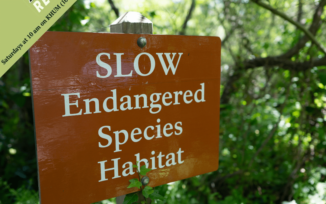 The “God Squad” Returns! — EcoNews Report #313