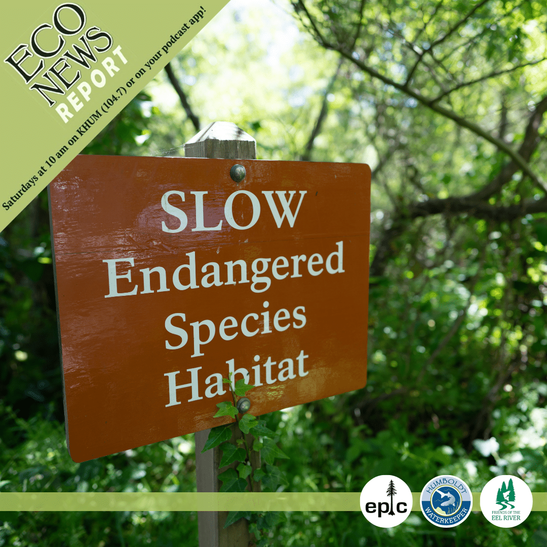 The EcoNews Report airs live on K. HUM 104.7 Saturdays at 10 A.M. or on your podcast app, and is brought to you by the Environmental Protection Information Center, Humboldt Waterkeeper, and Friends of the Eel River. A sign set in lush foliage reads SLOW Endangered Species Habitat.