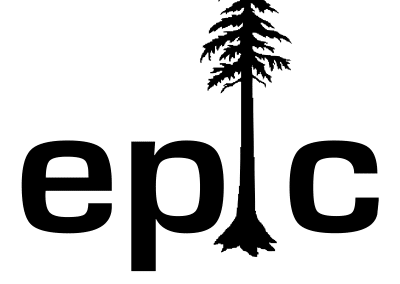 EPIC black transparent logo