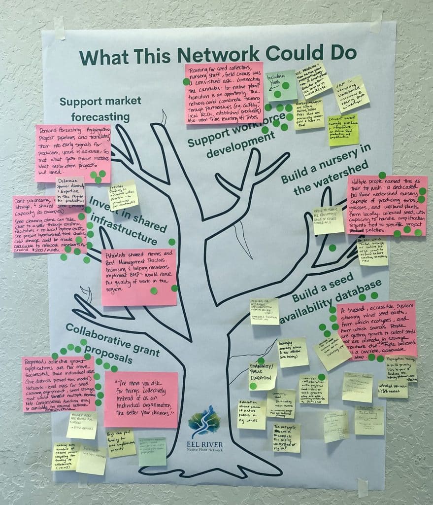New Native Plant Network Seeks to Grow Regional Capacity 3 ERNPN tree