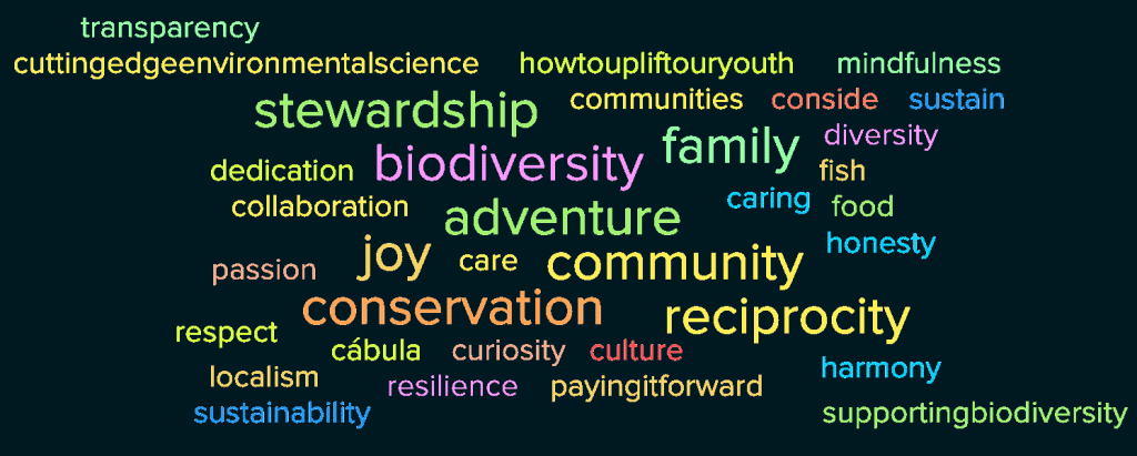 Eel River Native Plant Network 2 Chinook Salmon - Saltwater