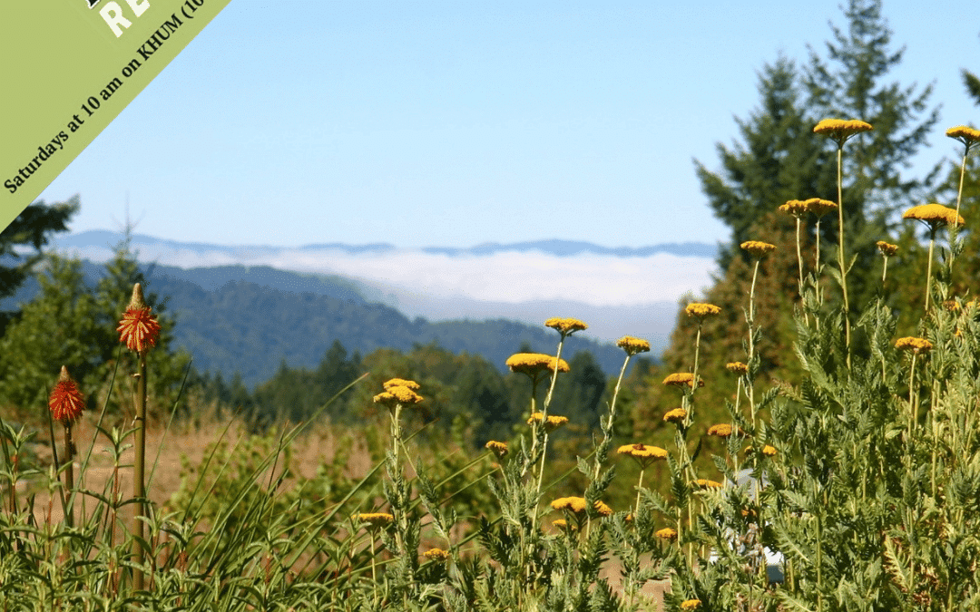 Native Plant Nerds, Unite! — EcoNews Report #319