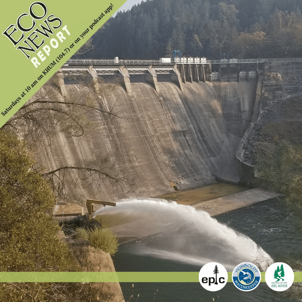 The EcoNews Report airs live on Saturdays at 10 A.M. on KHUM or on your podcast app. This week features water spewing out the bottom of Scott Dam on the Eel River. The show is brought to you by the Environmental Protection Information Center, Humboldt Waterkeeper, and Friends of the Eel River.