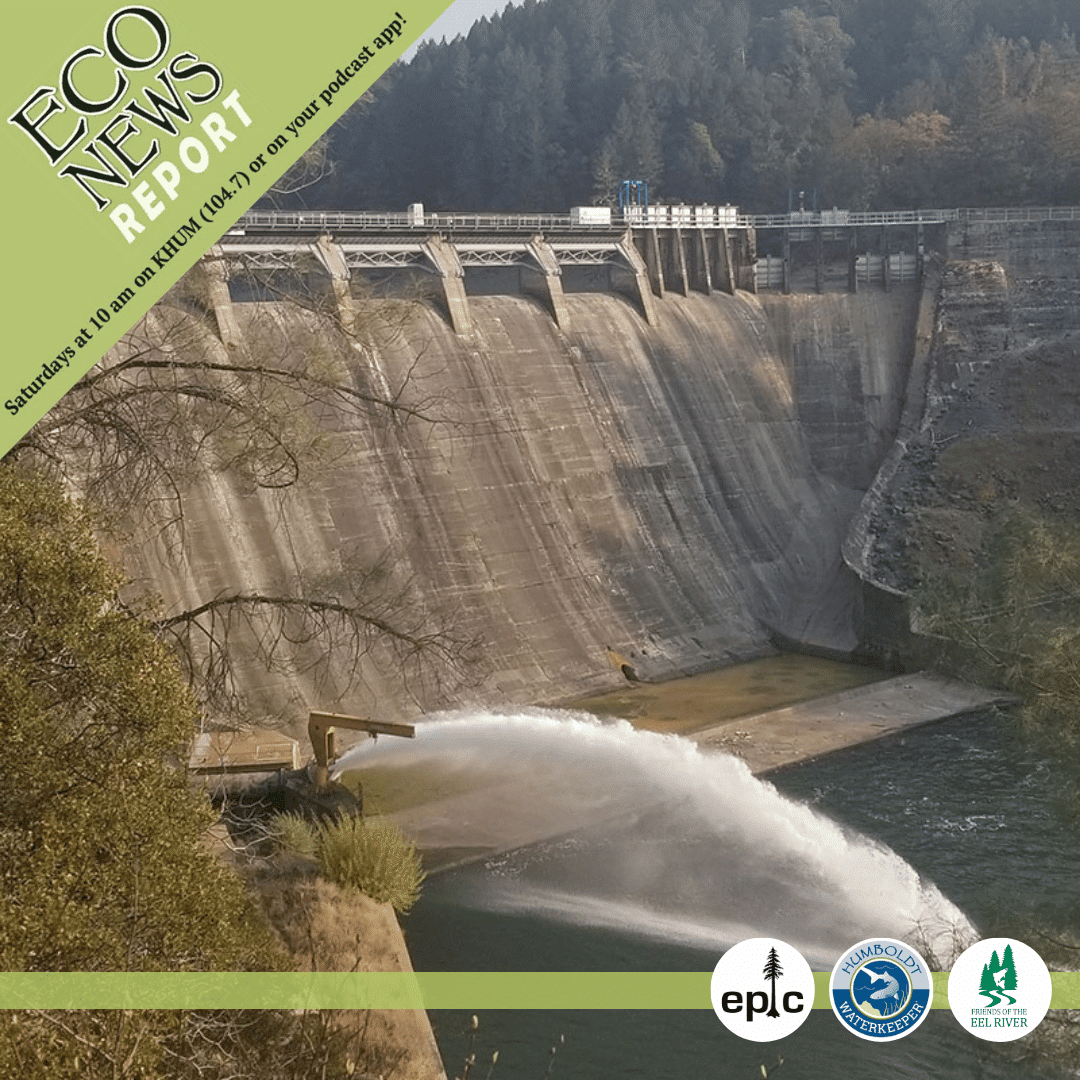 The EcoNews Report airs live on Saturdays at 10 A.M. on KHUM or on your podcast app. This week features water spewing out the bottom of Scott Dam on the Eel River. The show is brought to you by the Environmental Protection Information Center, Humboldt Waterkeeper, and Friends of the Eel River.