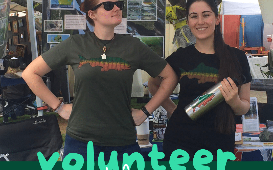 Volunteers Needed for the North Country Fair