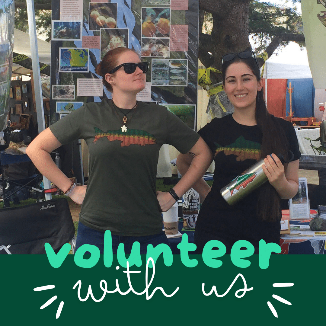 Volunteer with us IG