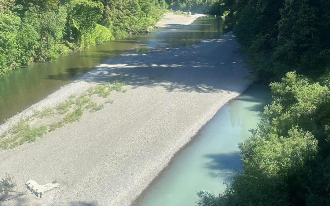 The Ongoing Aftermath of Bentonite Dumping into Redwood Creek